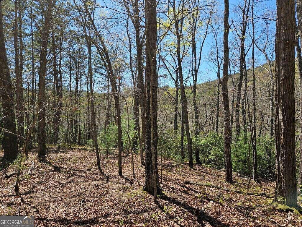 5.20 Deer Crest Road Blue Ridge, GA 30513 - Photo 2 of 66 a view of outdoor space with lots of trees