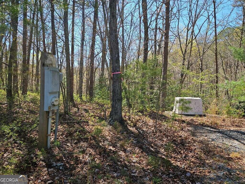 5.20 Deer Crest Road Blue Ridge, GA 30513 - Photo 25 of 66 a view of a forest with trees