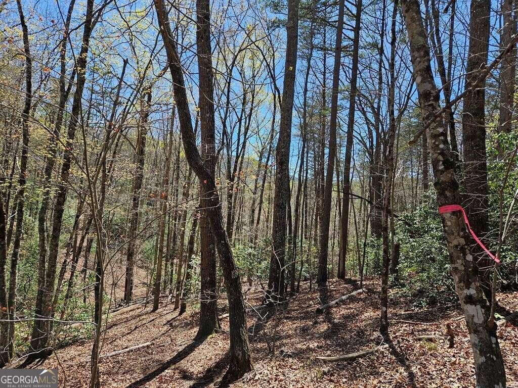 5.20 Deer Crest Road Blue Ridge, GA 30513 - Photo 26 of 66 a view of a backyard of the house