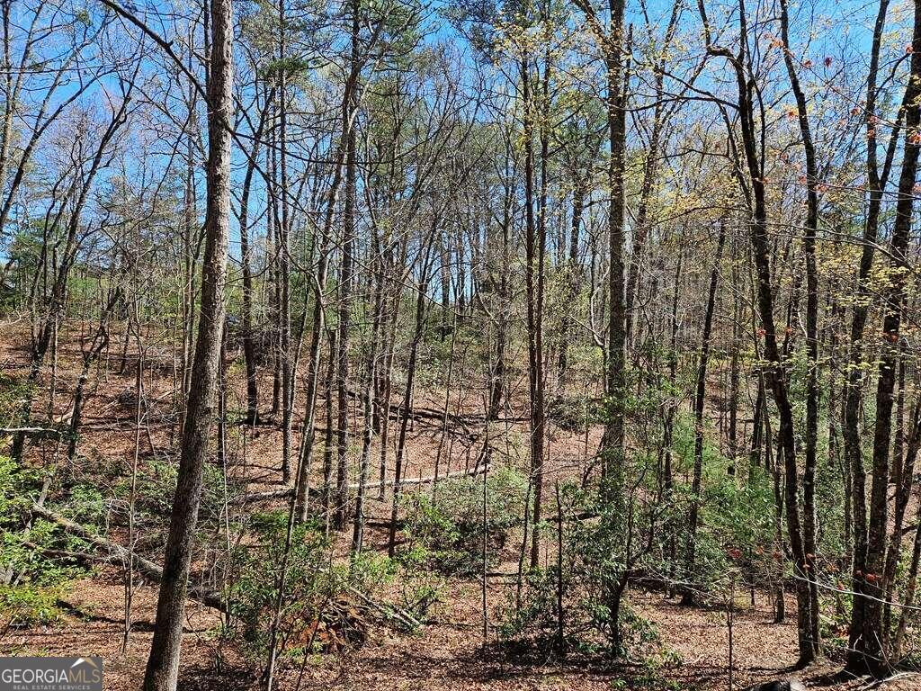 5.20 Deer Crest Road Blue Ridge, GA 30513 - Photo 28 of 66 a view of yard