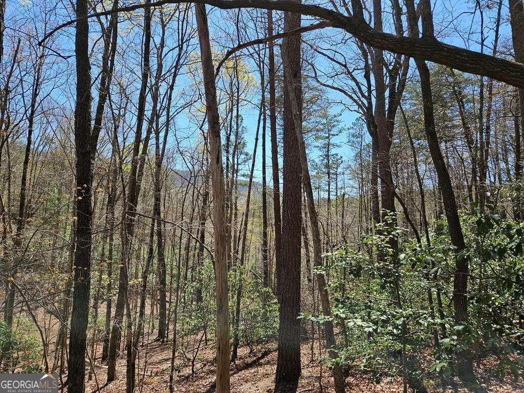 5.20 Deer Crest Road Blue Ridge, GA 30513 - Photo 29 of 66