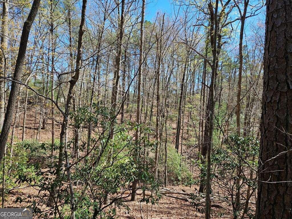 5.20 Deer Crest Road Blue Ridge, GA 30513 - Photo 30 of 66