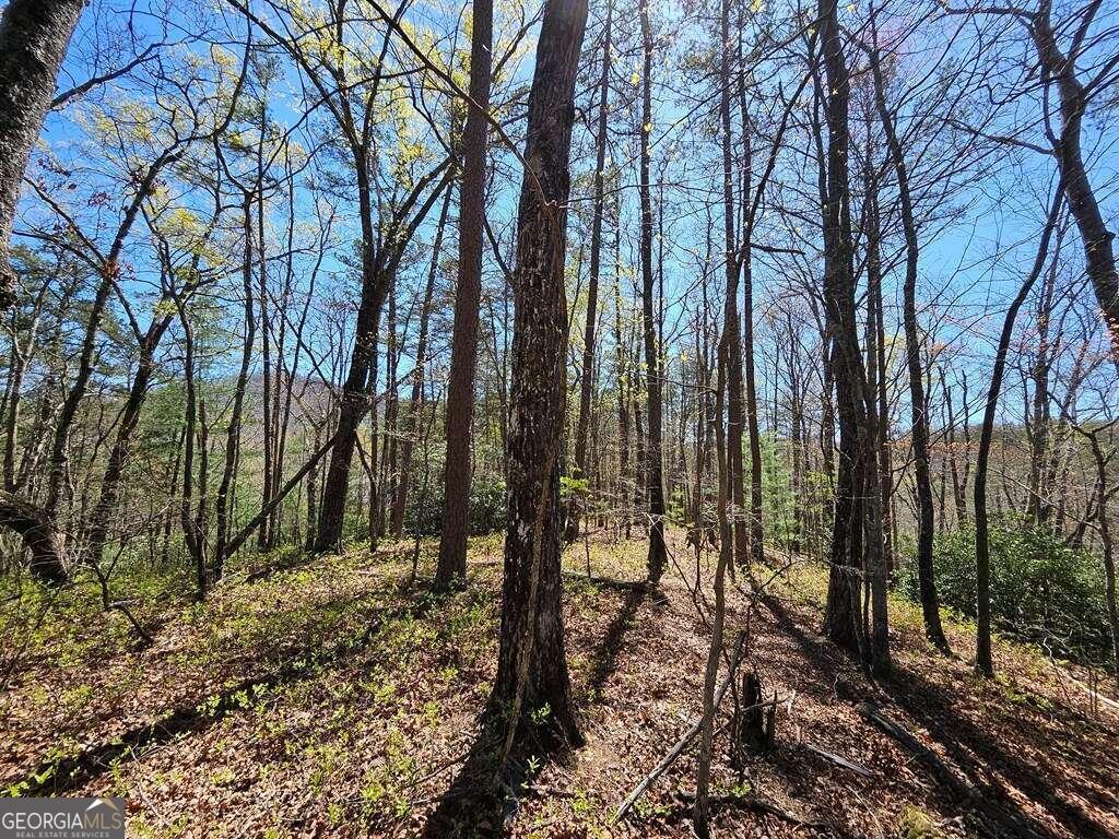 5.20 Deer Crest Road Blue Ridge, GA 30513 - Photo 3 of 66 a view of outdoor space with lots of trees