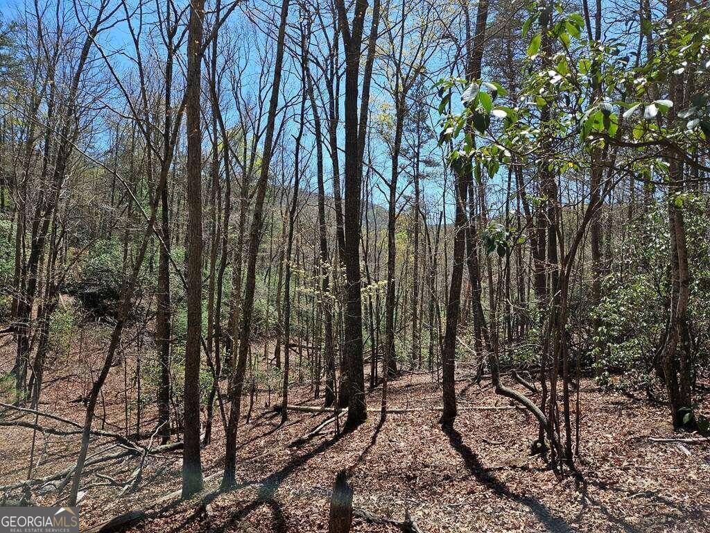 5.20 Deer Crest Road Blue Ridge, GA 30513 - Photo 31 of 66 a view of outdoor space with lots of trees