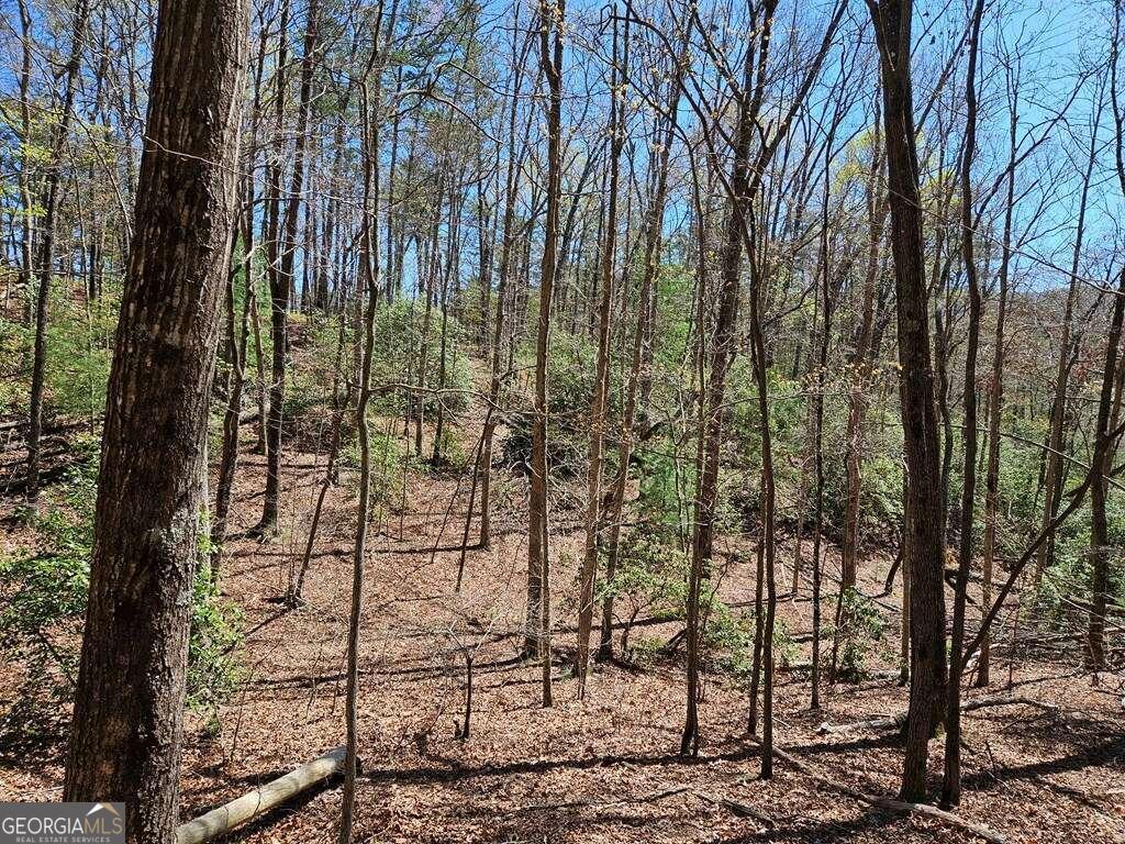 5.20 Deer Crest Road Blue Ridge, GA 30513 - Photo 32 of 66 a view of a yard with plants and large trees