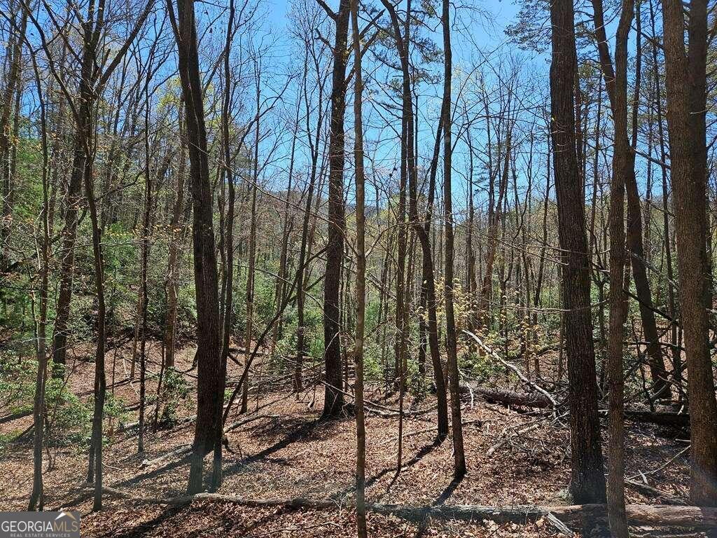 5.20 Deer Crest Road Blue Ridge, GA 30513 - Photo 33 of 66 a view of forest