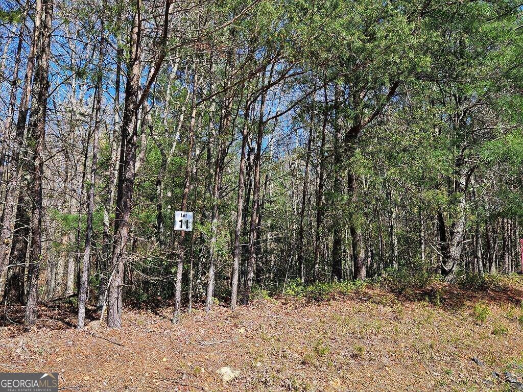 5.20 Deer Crest Road Blue Ridge, GA 30513 - Photo 36 of 66 a backyard of a house with lots of trees