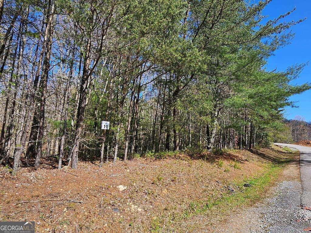 5.20 Deer Crest Road Blue Ridge, GA 30513 - Photo 37 of 66