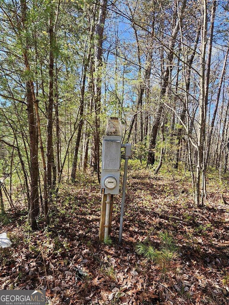 5.20 Deer Crest Road Blue Ridge, GA 30513 - Photo 39 of 66 a backyard of a house with lots of green space