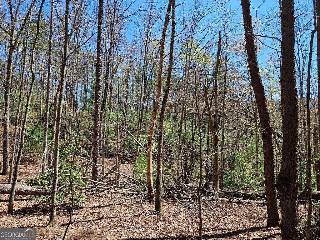 5.20 Deer Crest Road Blue Ridge, GA 30513 - Photo 4 of 66