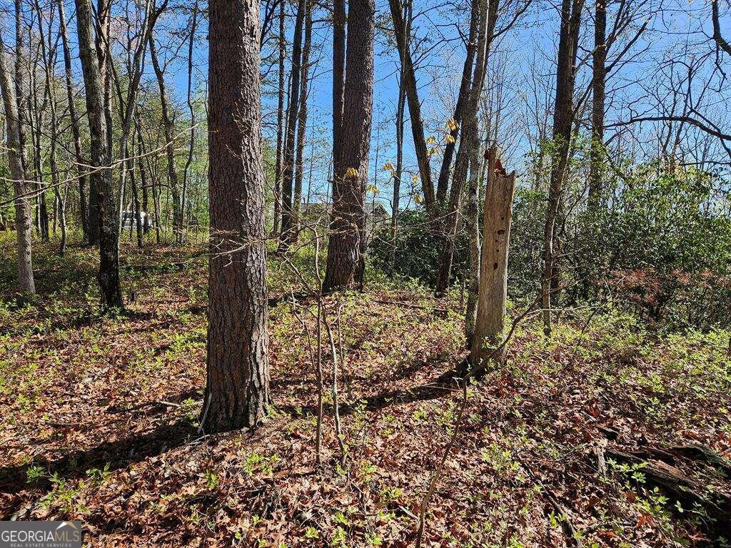 5.20 Deer Crest Road Blue Ridge, GA 30513 - Photo 41 of 66