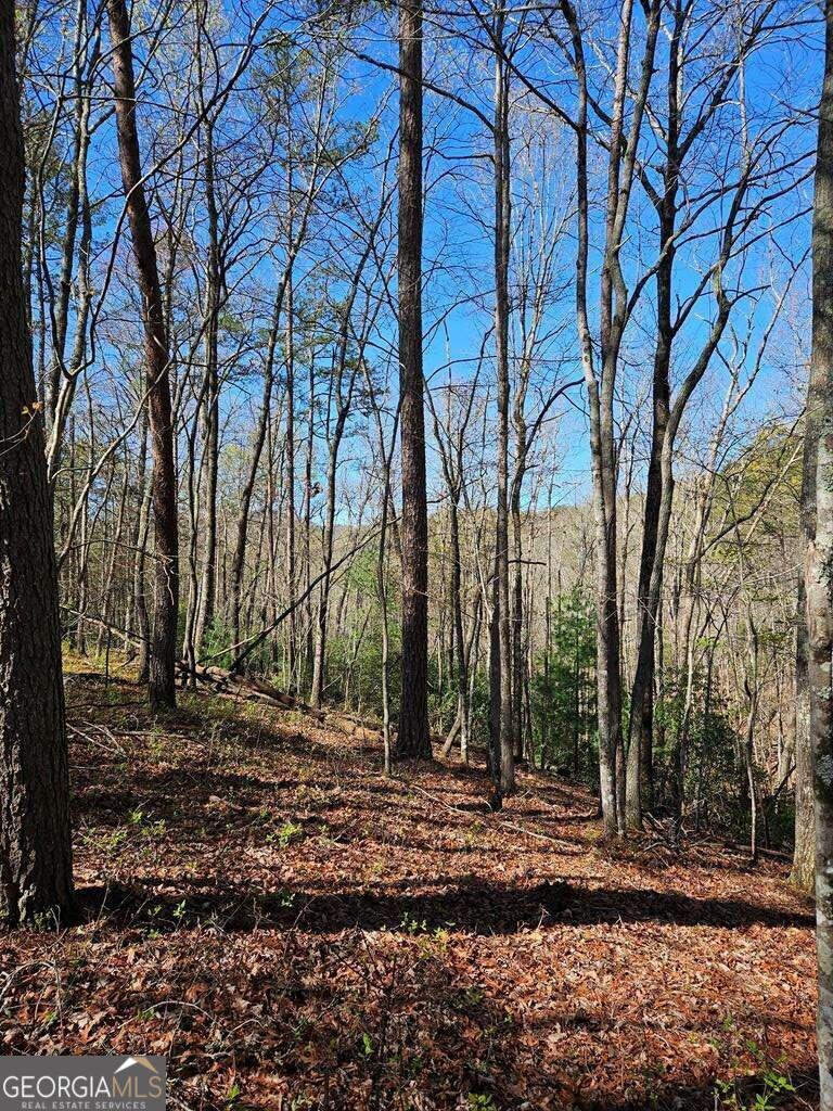 5.20 Deer Crest Road Blue Ridge, GA 30513 - Photo 42 of 66 a backyard of a house with lots of green space