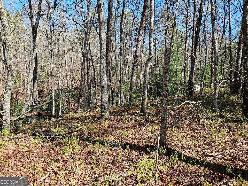 5.20 Deer Crest Road Blue Ridge, GA 30513 - Photo 43 of 66 a backyard of a house with lots of green space