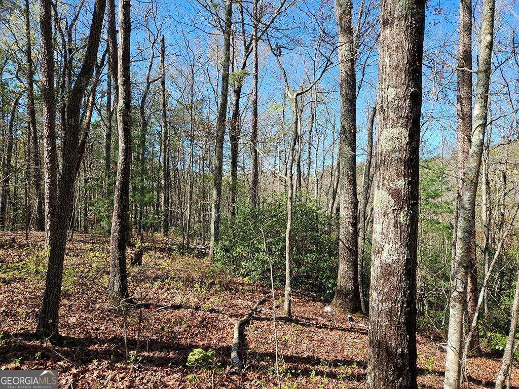 5.20 Deer Crest Road Blue Ridge, GA 30513 - Photo 44 of 66