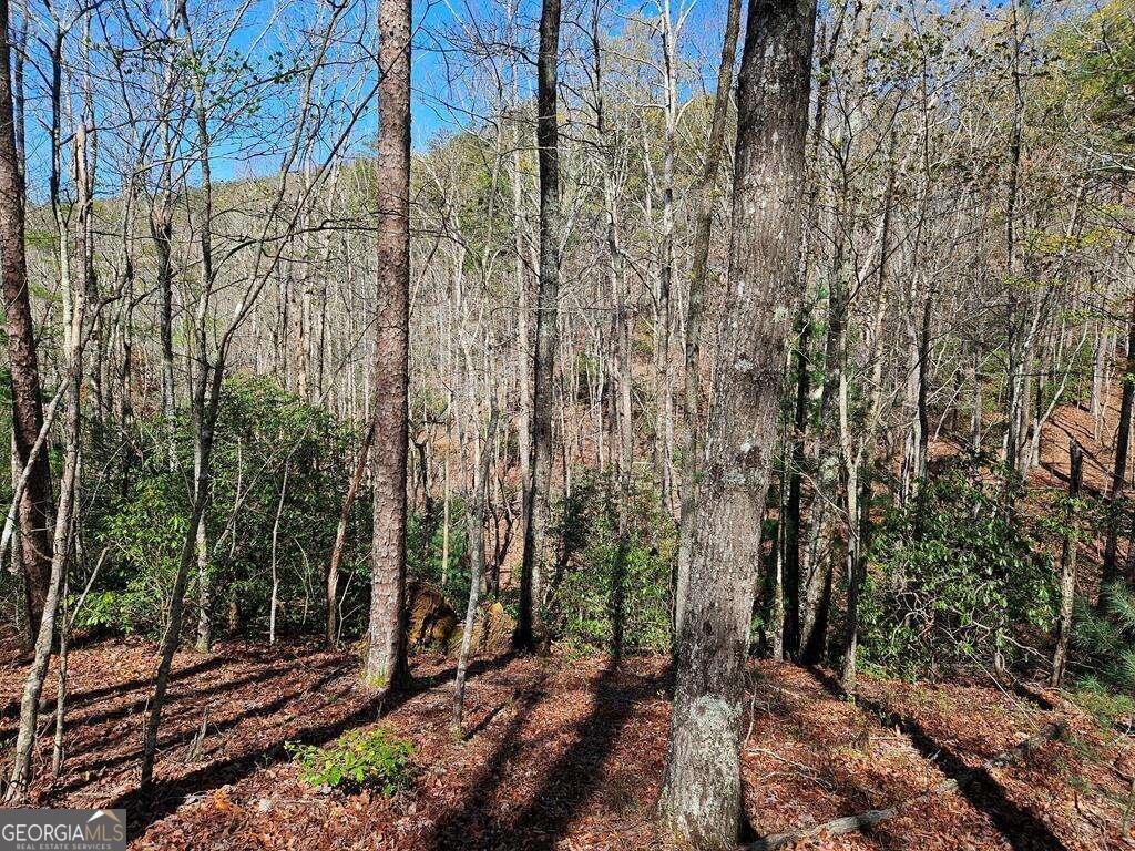 5.20 Deer Crest Road Blue Ridge, GA 30513 - Photo 45 of 66