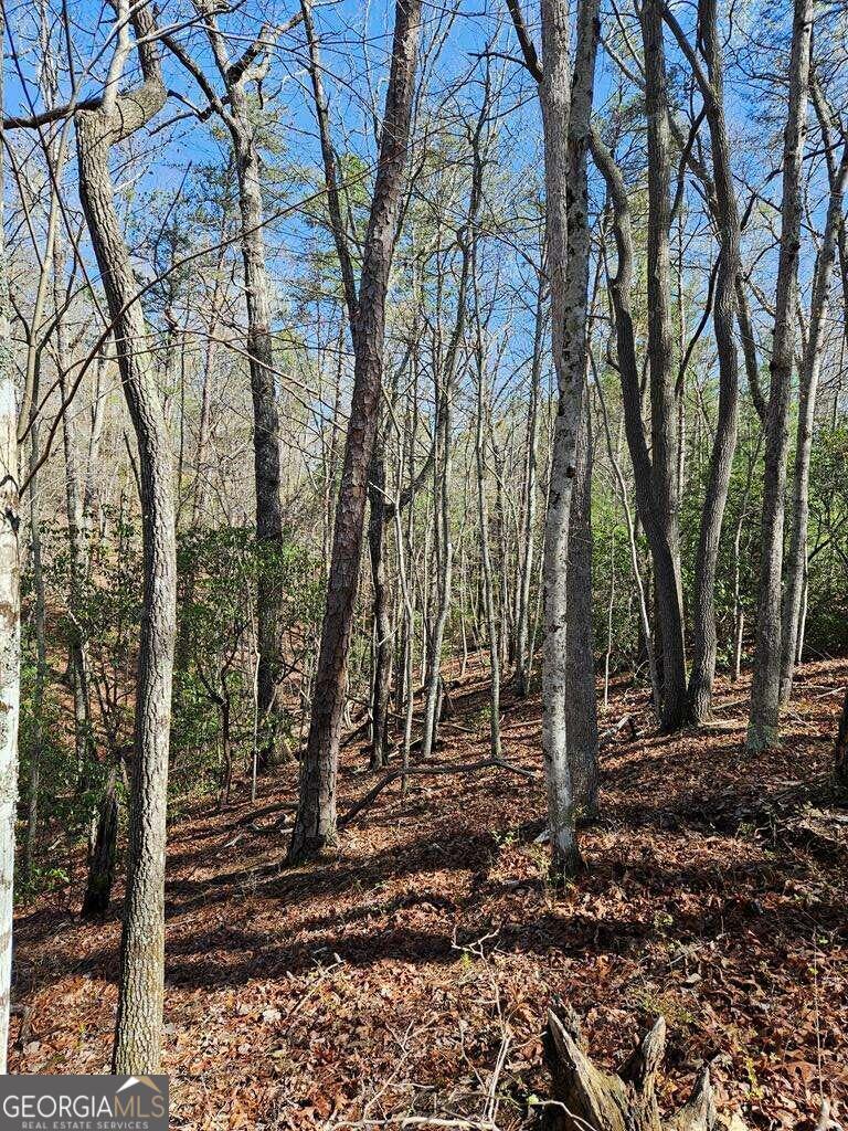 5.20 Deer Crest Road Blue Ridge, GA 30513 - Photo 46 of 66 a backyard of a house with lots of green space