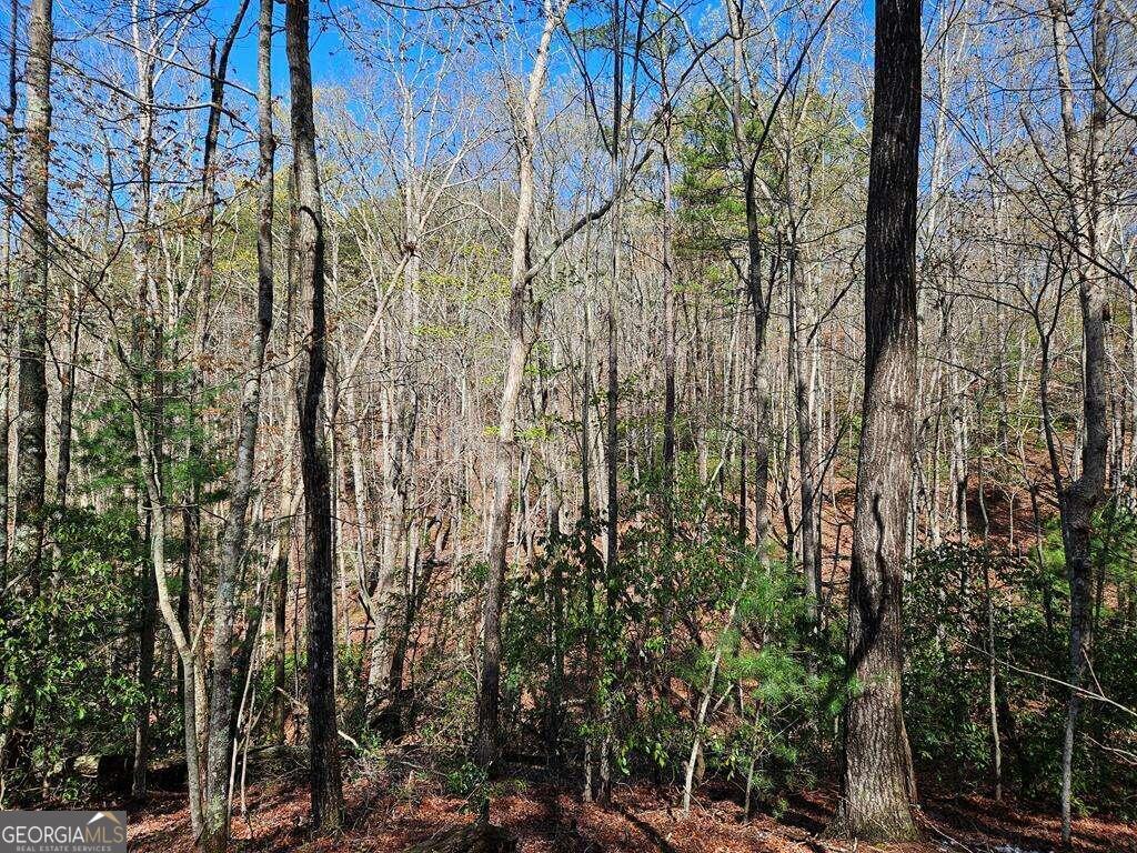 5.20 Deer Crest Road Blue Ridge, GA 30513 - Photo 48 of 66 a view of a yard with plants and trees