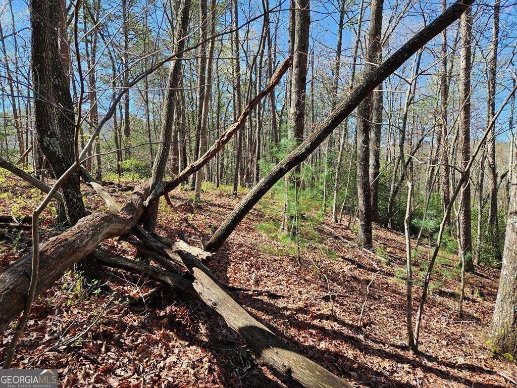 5.20 Deer Crest Road Blue Ridge, GA 30513 - Photo 50 of 66