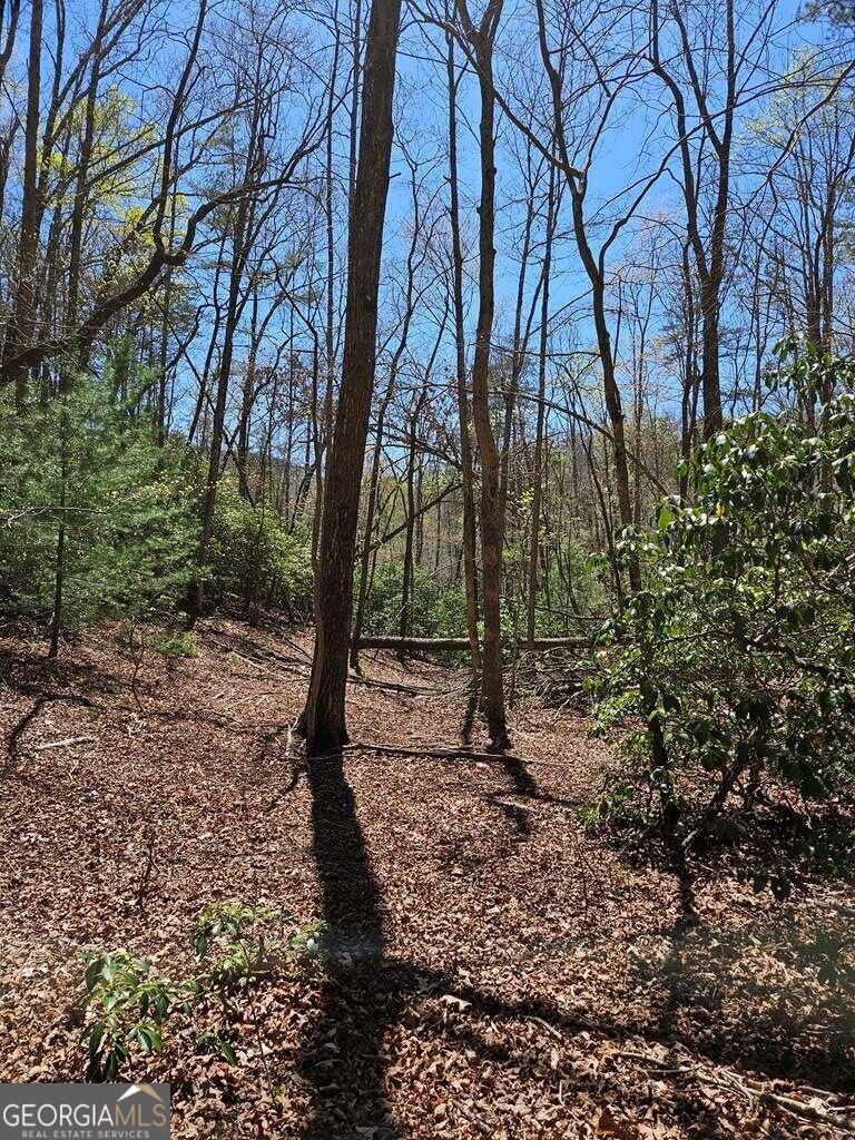 5.20 Deer Crest Road Blue Ridge, GA 30513 - Photo 5 of 66 a view of outdoor space with lots of trees