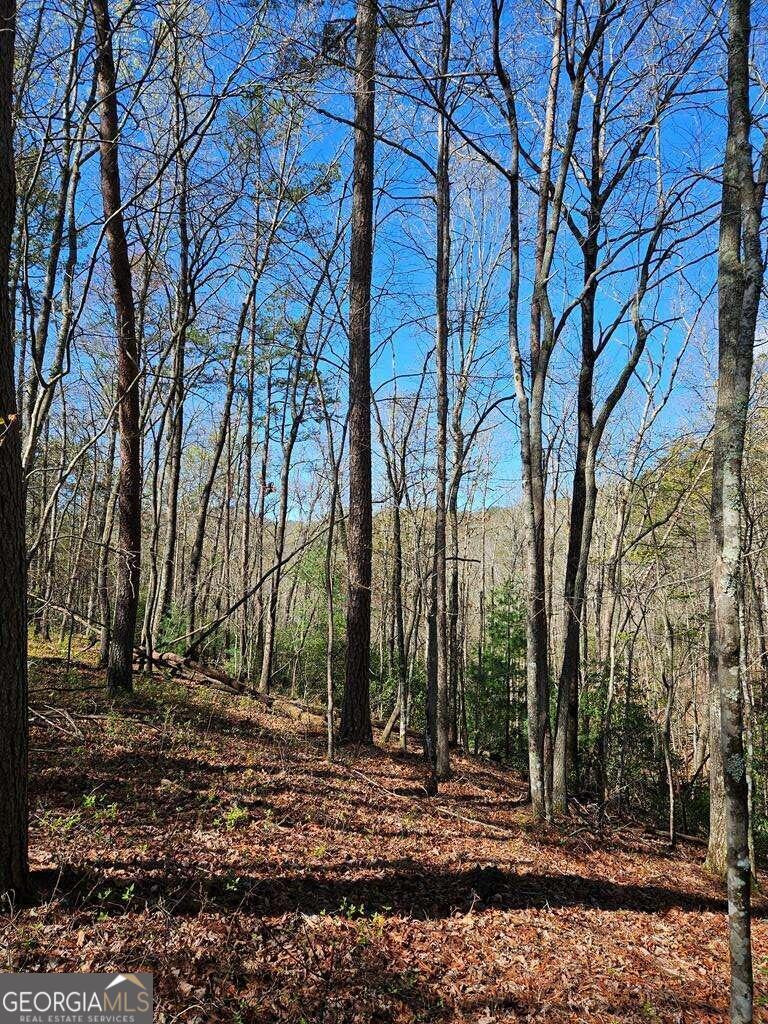 5.20 Deer Crest Road Blue Ridge, GA 30513 - Photo 52 of 66