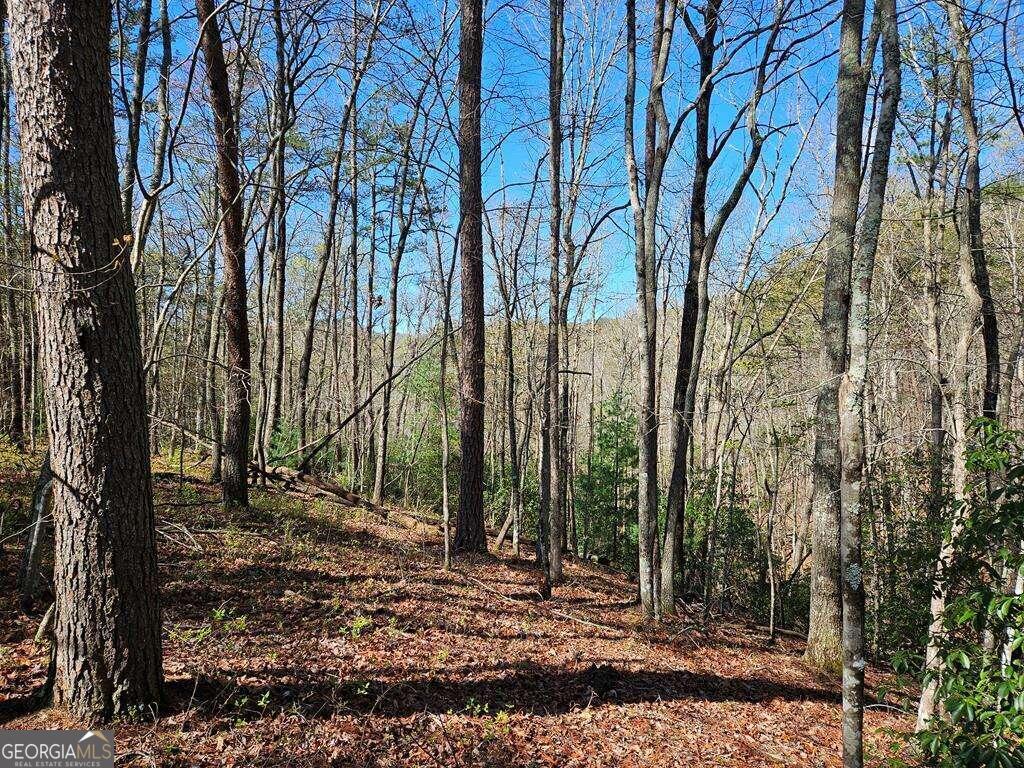 5.20 Deer Crest Road Blue Ridge, GA 30513 - Photo 54 of 66 a view of a forest filled with trees