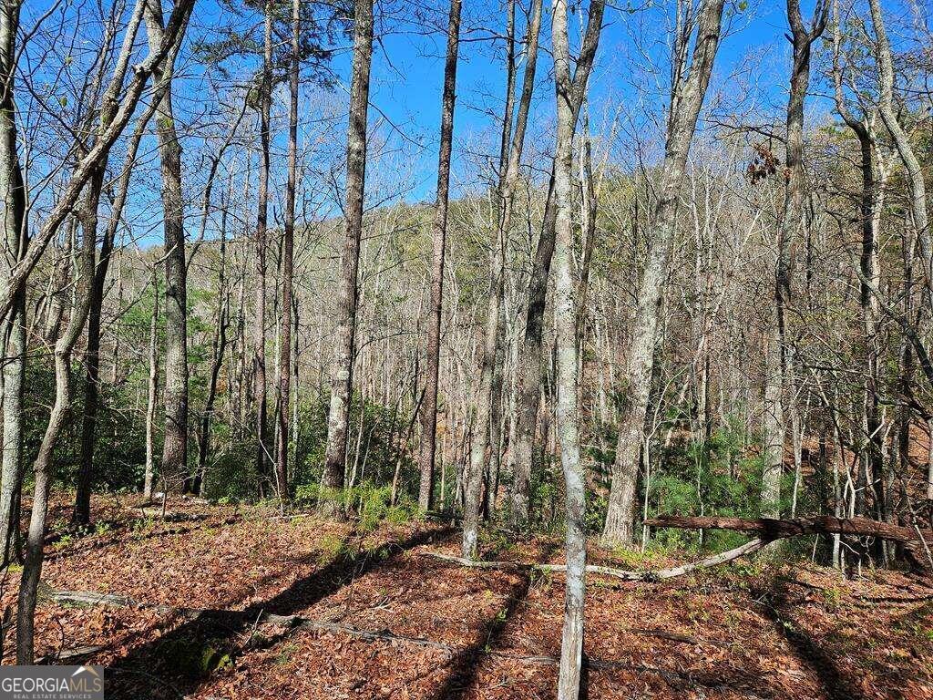 5.20 Deer Crest Road Blue Ridge, GA 30513 - Photo 56 of 66