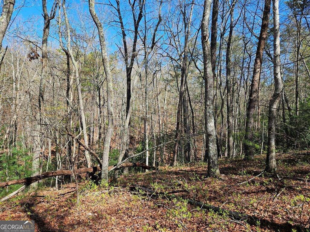 5.20 Deer Crest Road Blue Ridge, GA 30513 - Photo 57 of 66 a backyard of a house with lots of trees