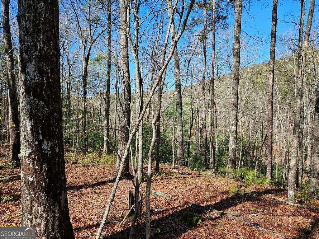 5.20 Deer Crest Road Blue Ridge, GA 30513 - Photo 58 of 66 a view of a backyard of the house