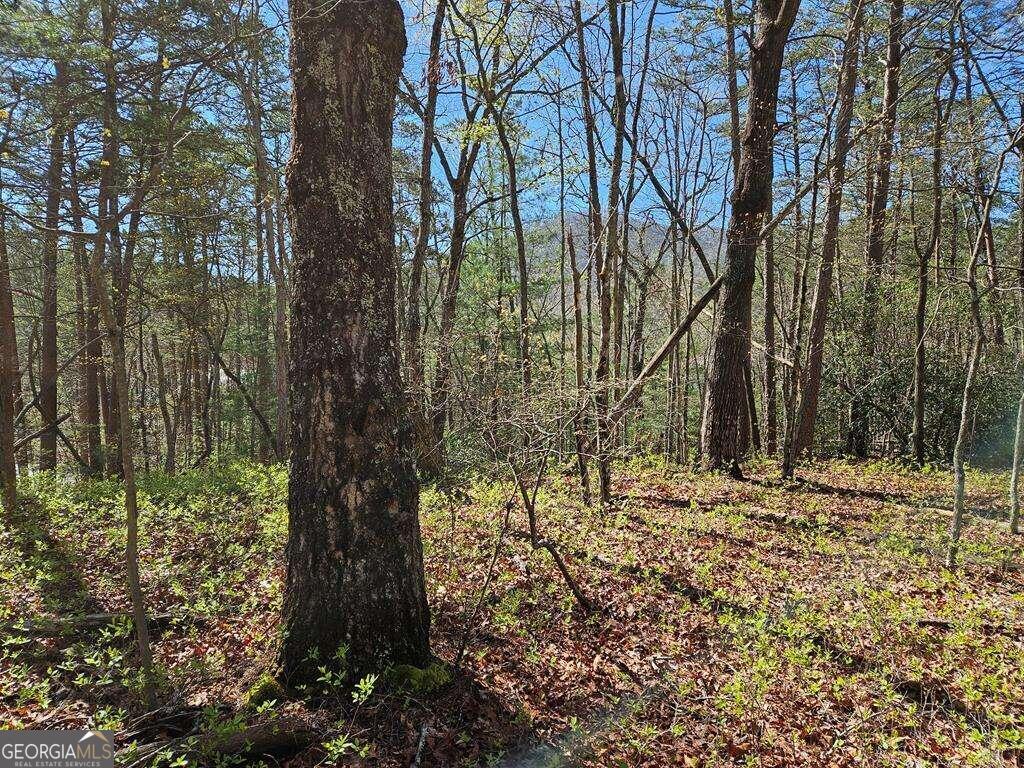 5.20 Deer Crest Road Blue Ridge, GA 30513 - Photo 60 of 66 a view of a yard with trees
