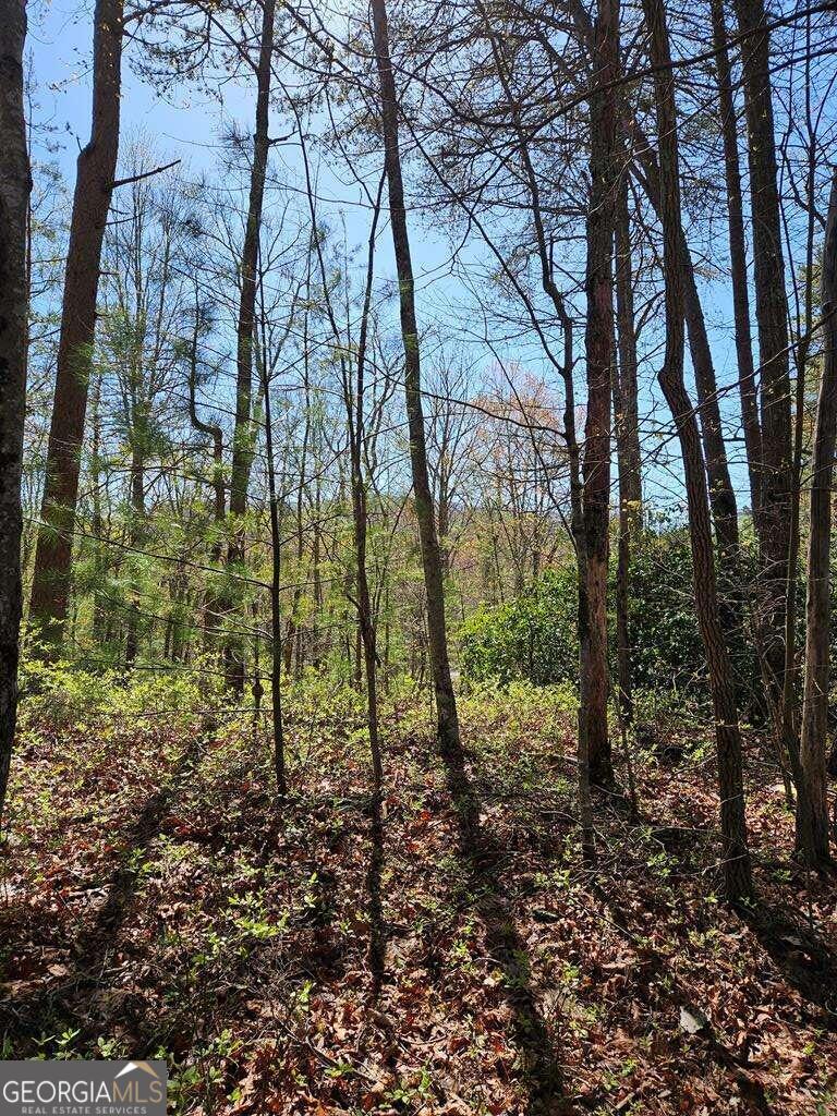 5.20 Deer Crest Road Blue Ridge, GA 30513 - Photo 61 of 66 a view of a yard