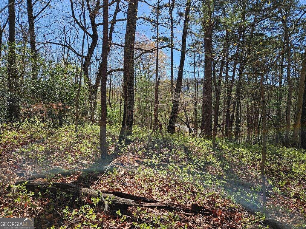 5.20 Deer Crest Road Blue Ridge, GA 30513 - Photo 62 of 66 a view of a yard with large trees