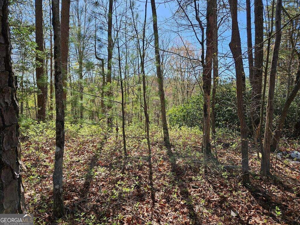 5.20 Deer Crest Road Blue Ridge, GA 30513 - Photo 63 of 66