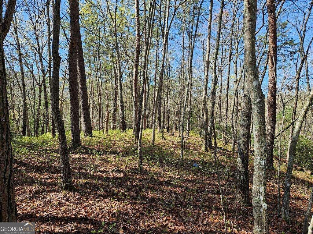 5.20 Deer Crest Road Blue Ridge, GA 30513 - Photo 64 of 66 a backyard of a house with lots of green space