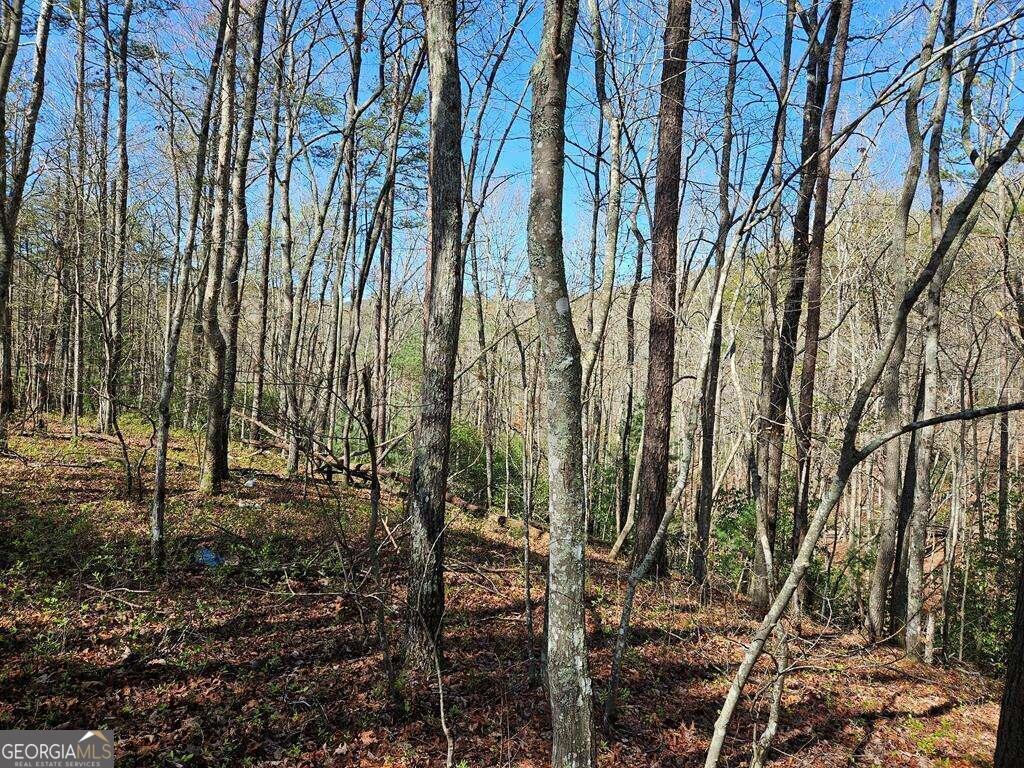 5.20 Deer Crest Road Blue Ridge, GA 30513 - Photo 65 of 66 a backyard of a house with lots of trees
