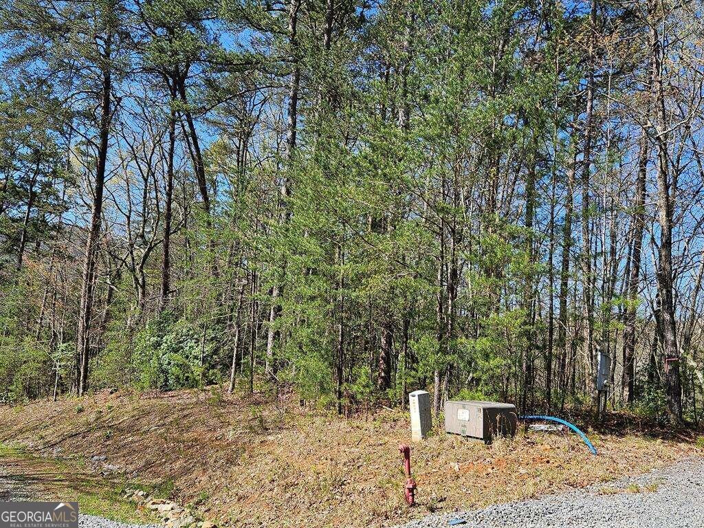 5.20 Deer Crest Road Blue Ridge, GA 30513 - Photo 66 of 66 a backyard of a house with large trees and wooden fence