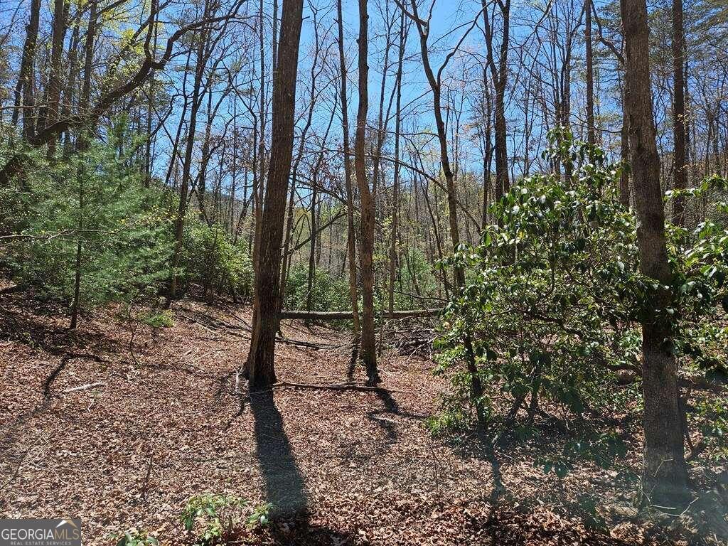 5.20 Deer Crest Road Blue Ridge, GA 30513 - Photo 8 of 66