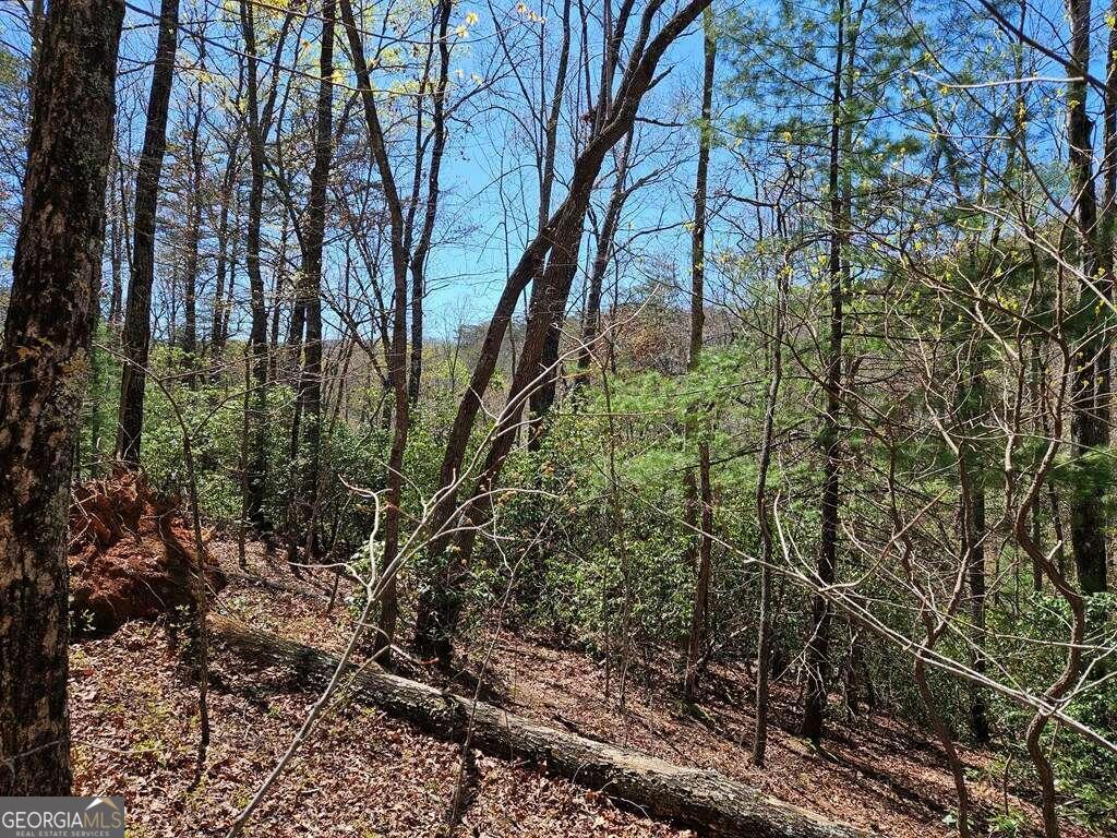 5.20 Deer Crest Road Blue Ridge, GA 30513 - Photo 9 of 66 a backyard of a house with lots of plants and large trees