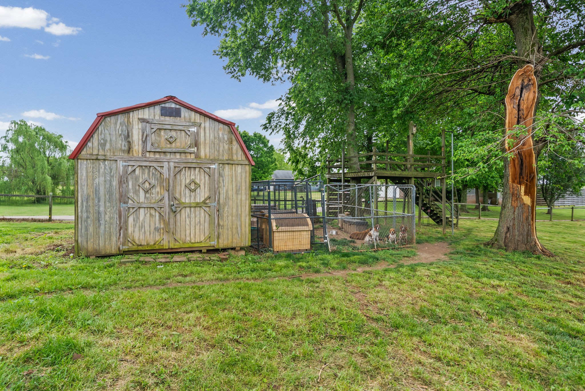 195 Barkers Mill Road Pembroke, KY 42266 - Photo 34 of 39 a view of a tiny house with a big yard and a large tree