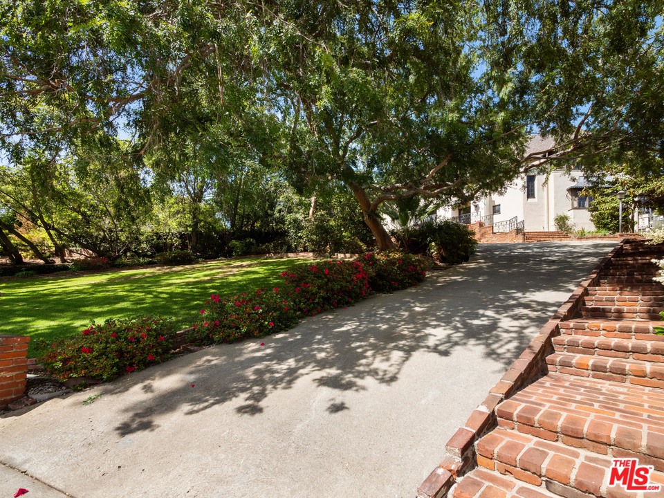 810 Devon Avenue Los Angeles, CA 90024 - Photo 2 of 23 a view of a yard with plants and trees