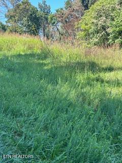 Overton Road Maynardville, TN 37807 - Photo 11 of 28 lot 2 overton grass