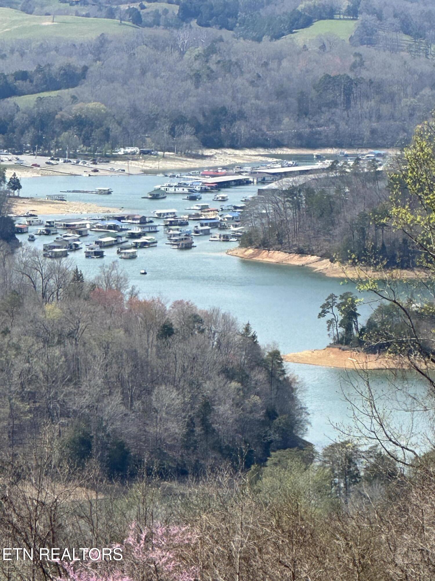 Overton Road Maynardville, TN 37807 - Photo 16 of 28 overton looking on to norris lake