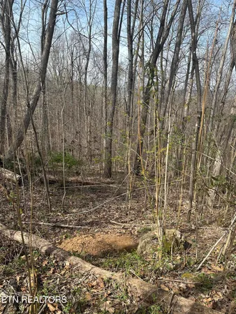 $59,999 | Overton Road, Maynardville, TN 37807