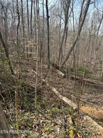 $59,999 | Overton Road, Maynardville, TN 37807