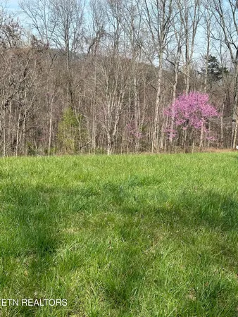 $59,999 | Overton Road, Maynardville, TN 37807