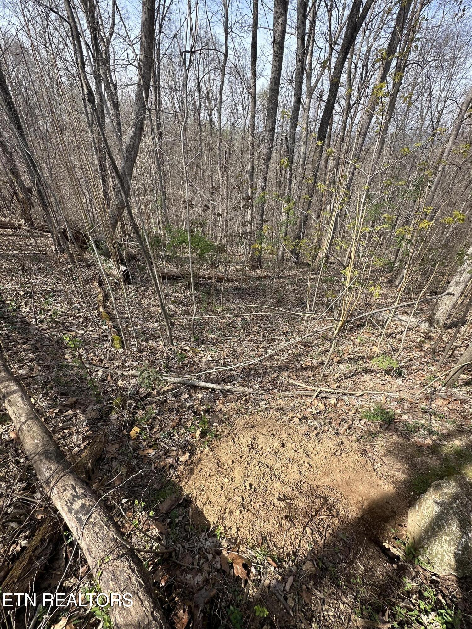 Overton Road Maynardville, TN 37807 - Photo 22 of 28 overton lot 2 sideview