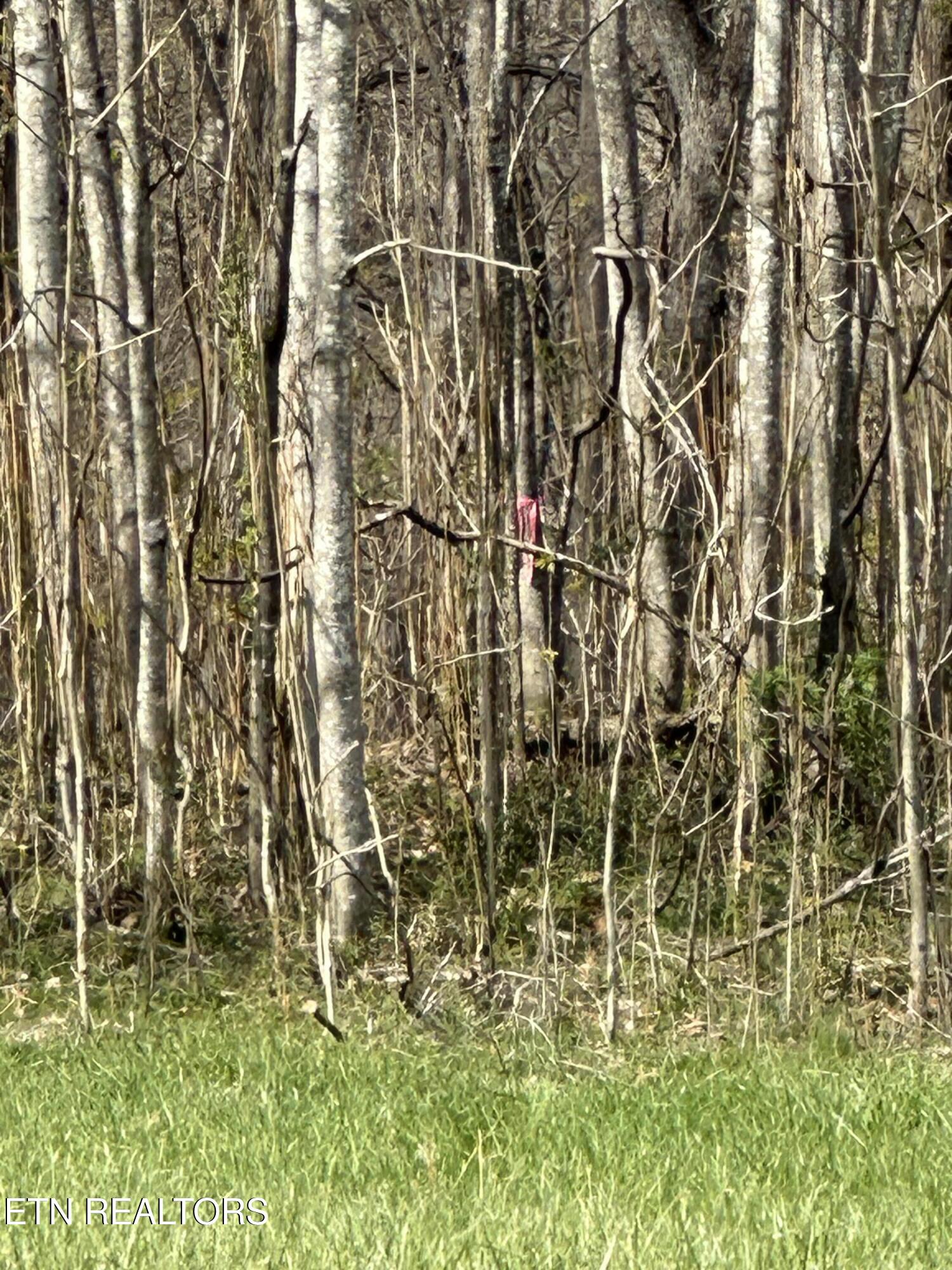 Overton Road Maynardville, TN 37807 - Photo 23 of 28 overton lot 2 with marker