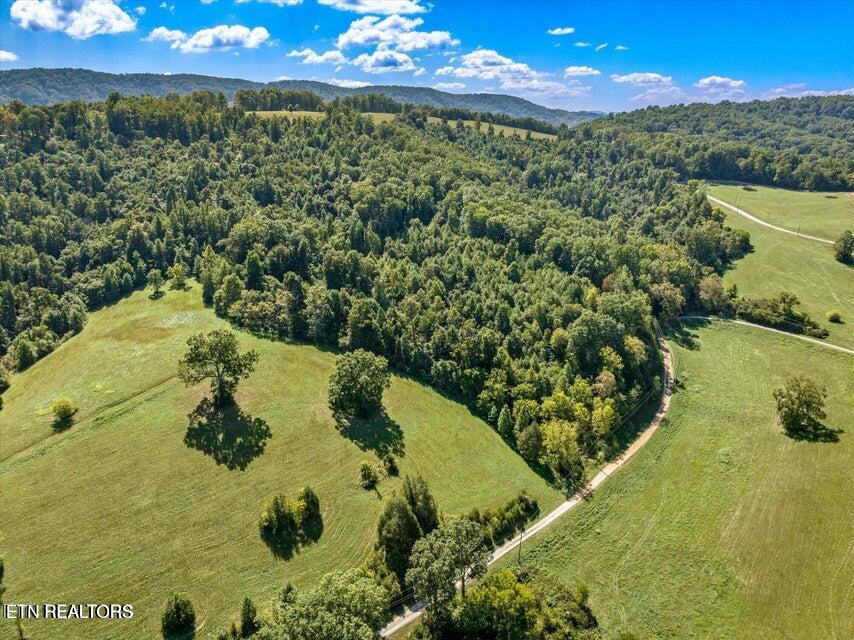 Overton Road Maynardville, TN 37807 - Photo 3 of 28 bob wright overview 2