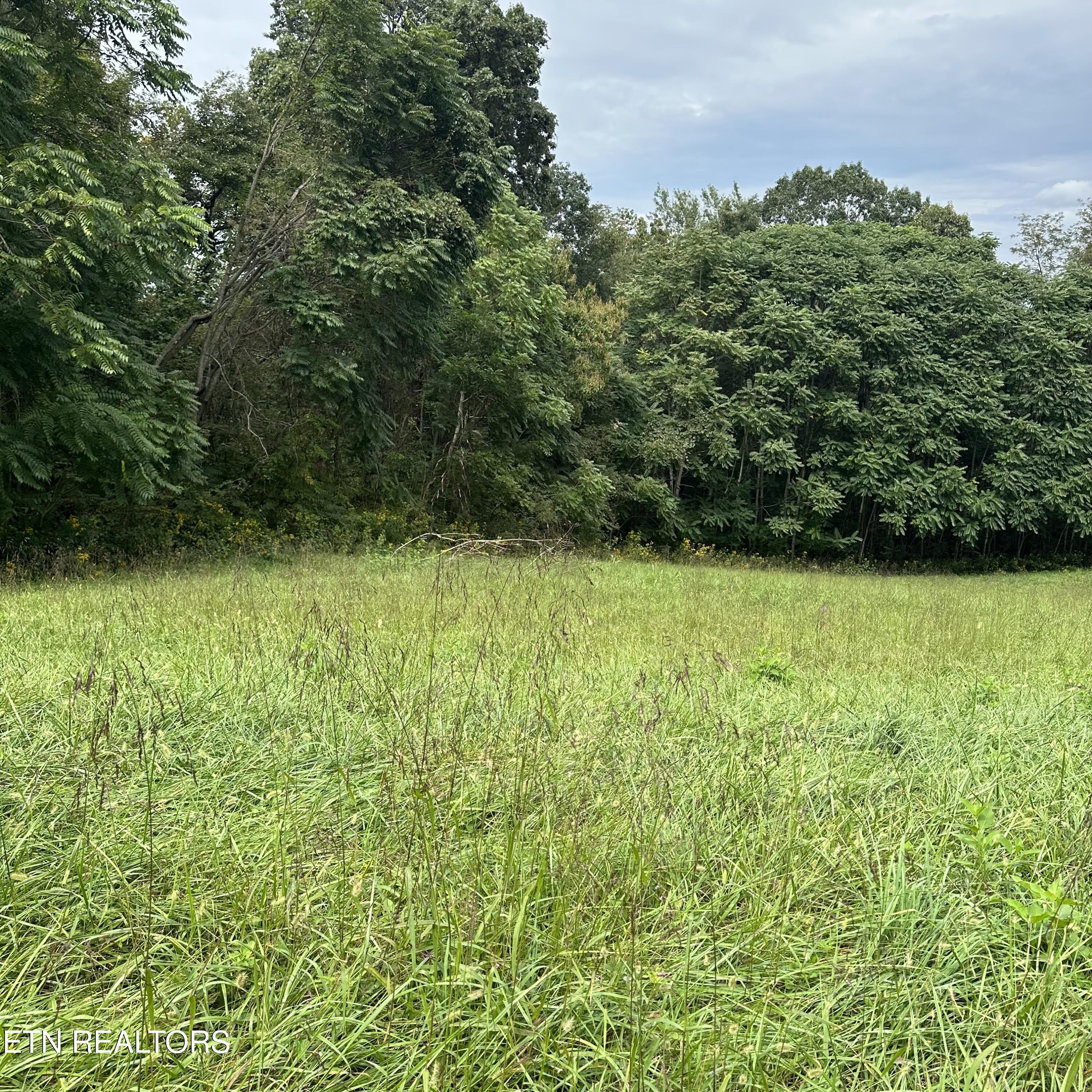 Overton Road Maynardville, TN 37807 - Photo 6 of 28 lot 2 of 8