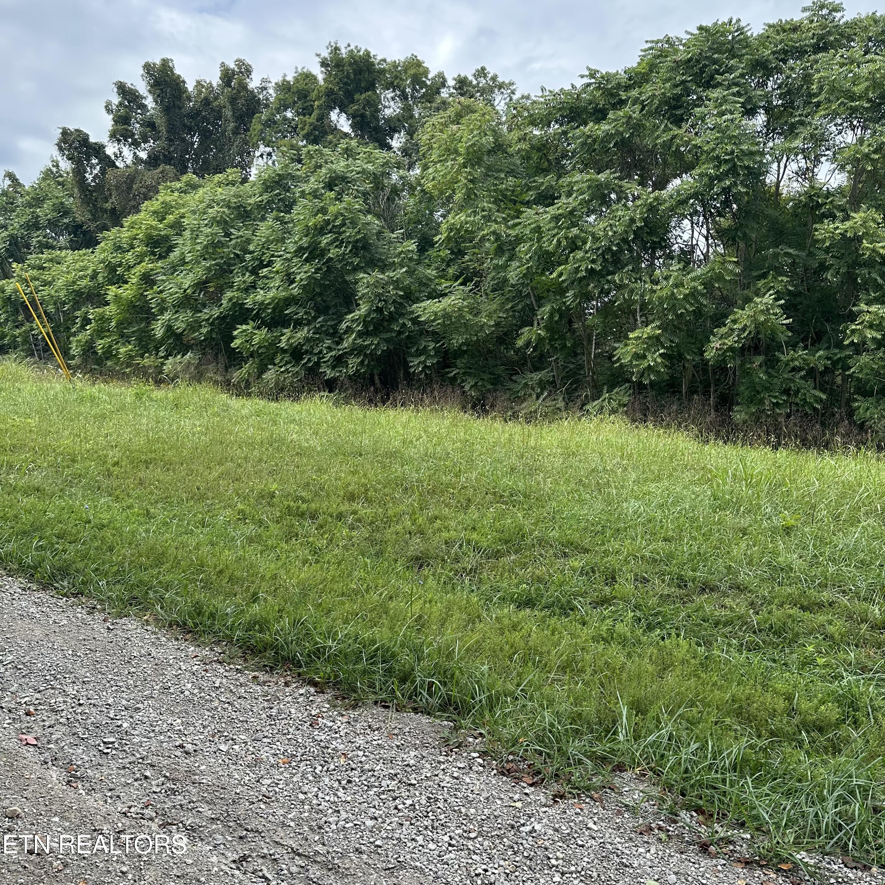 Overton Road Maynardville, TN 37807 - Photo 9 of 28 lot 2 of 12