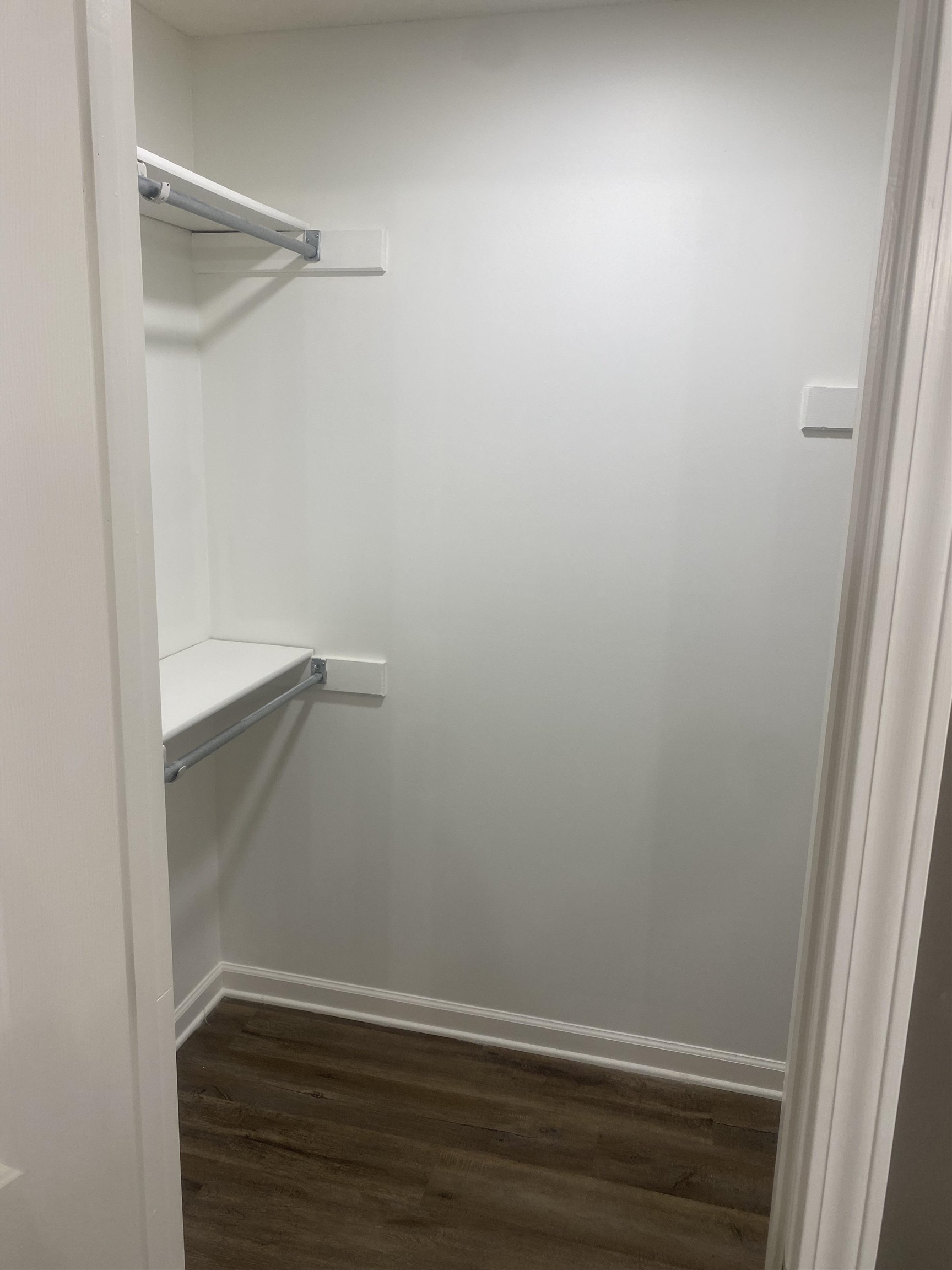 1167 Junco Cove Collierville, TN 38017 - Photo 15 of 25 a view of an empty walk in closet
